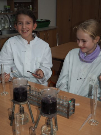 P1010020 (Small).JPG